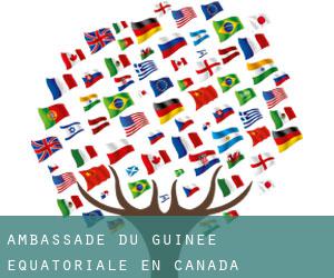 Communiqué de l’Ambassade de Guinée au Canada relatif à l’adresse de son site web