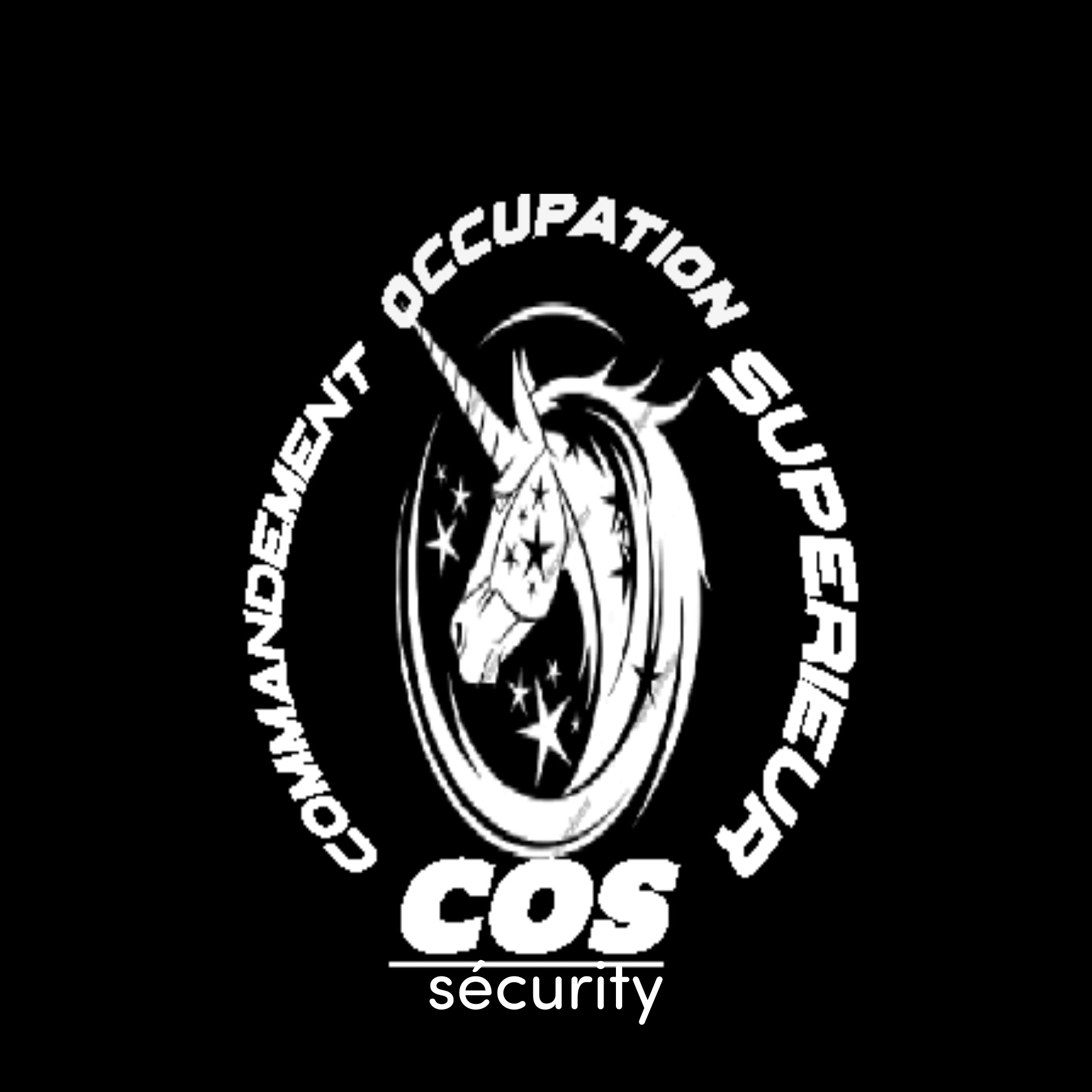 COS SÉCURITY