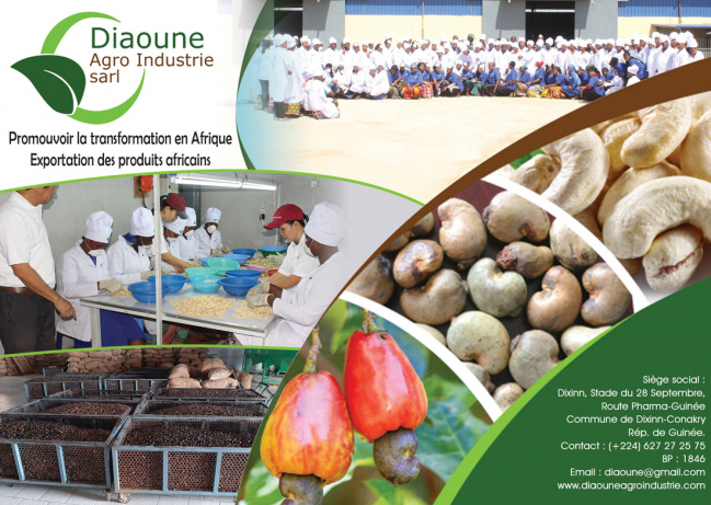 DIAOUNE AGRO INDUSTRIE SARL