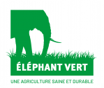 ELEPHANT VERT CI