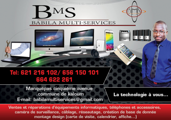 BMS (BABILA MULTI SERVICES)