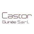 CASTOR GUINEE SARL