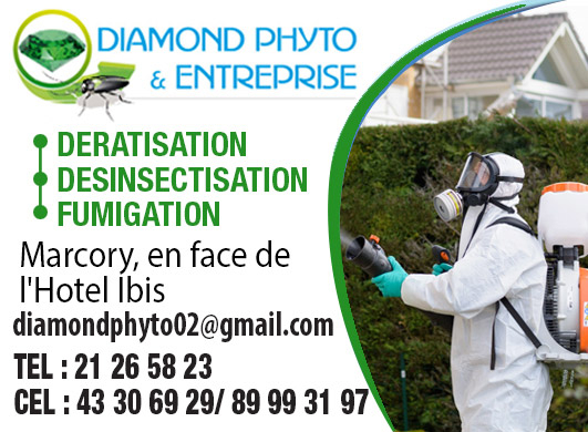 DIAMOND PHYTO & ENTREPRISE