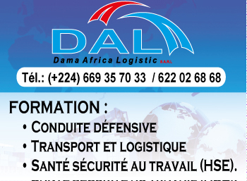 DAL SARL (DAMA AFRICA LOGISTIC)