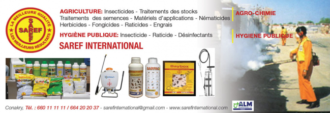 SAREF INTERNATIONAL