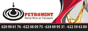 PETROMINT (PETROL MINE ET TRANSPORT)