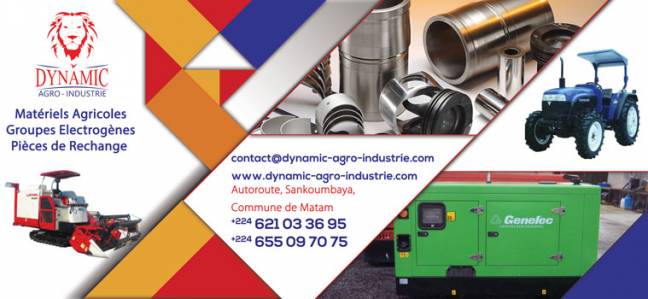 DYNAMIC AGRO-INDUSTRIE