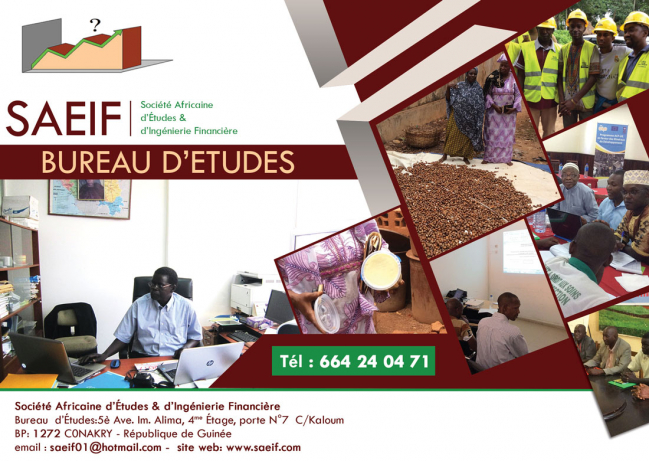 SAEIF-BUREAU D'ETUDES (SOCIETE AFRICAINE D'ETUDES & D'INGENIERIE FINANCIERE)