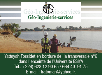 GEO INGENIERIE SERVICES