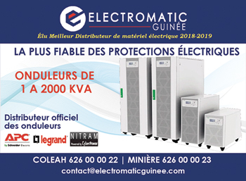 ELECTROMATIC GUINEE