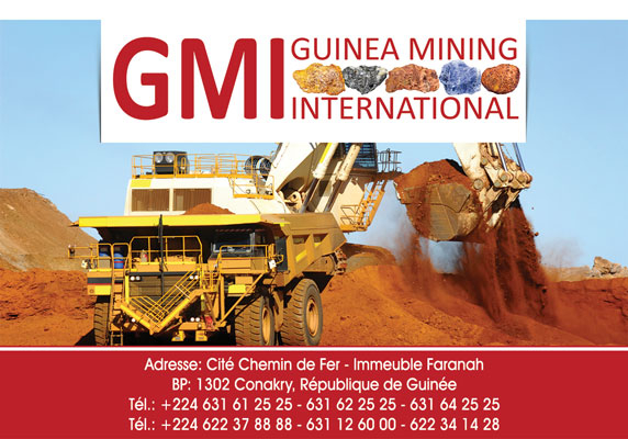GMI (GUINEA MINING INTERNATIONAL)