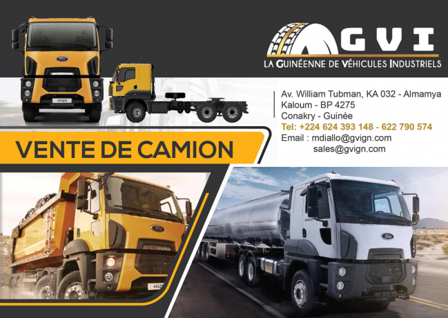 GVI (LA GUINEENNE DE VEHICULES INDUSTRIELS)