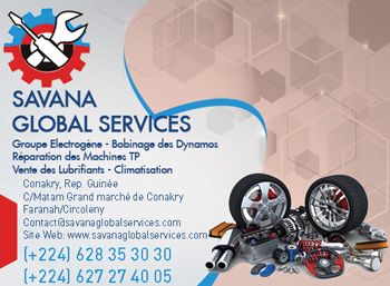 SAVANA GLOBAL SERVICES