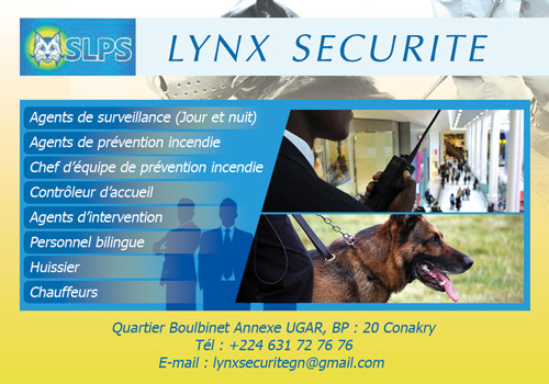 LYNX SECURITE SARL