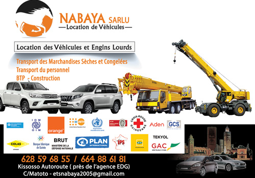 NABAYA SARLU