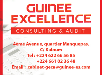 GUINEE EXCELLENCE CONSULTING & AUDIT