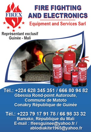 FIREX (FIRE FIGHTING AND ELECTRONICS EQUIPEMENT SERVICES)