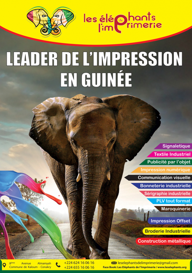 LES ELEPHANTS DE L'IMPRIMERIE