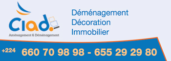 CIAD (COMPAGNIE INTERNATIONALE D'AMENAGEMENT ET DE DEMENAGEMENT)