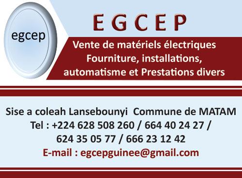 EGCEP (ENTREPRISE GUINEENNE DE CONSTRUCTION ELECTRIQUE ET PRESTATIONS)