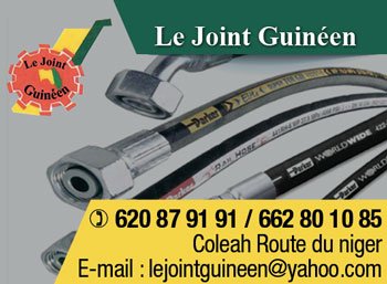 LE JOINT GUINEEN