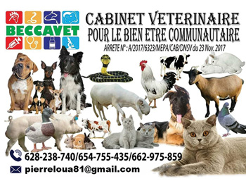 BECCAVET (Cabinet Vétérinaire pour le Bien-Être Communautaire)
