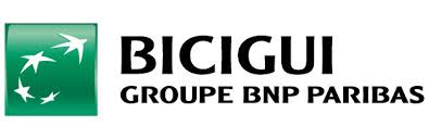 BICIGUI